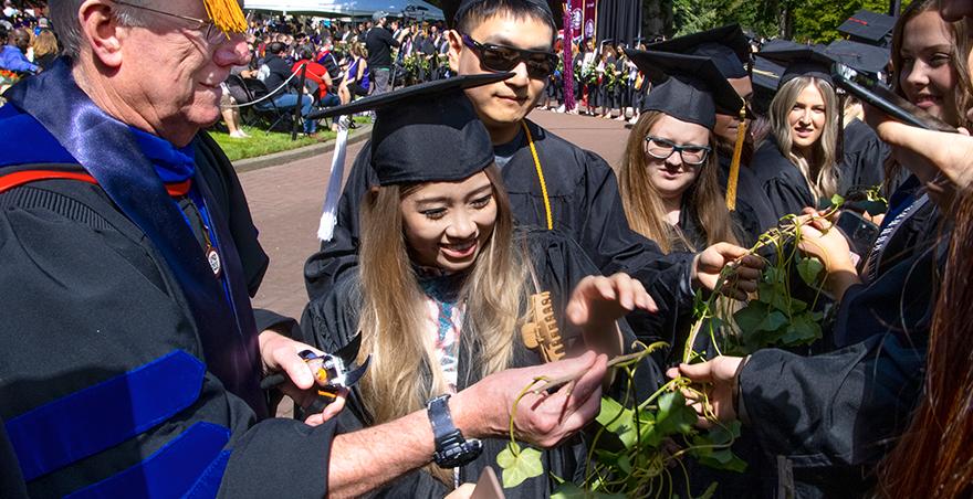 Students in their caps and gowns wait for their ivy to be cut by a professor at SPU